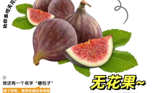 瑞倪维儿水疗四件套的功效-瑞倪维儿牙膏的功效网 - 网站提供瑞倪维儿透明质酸凝胶的功效小常识、瑞倪维儿最厉害三个功效